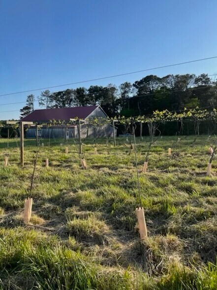 77 Little River Rd, Carrollton, GA à vendre - Photo de l’immeuble – Image 2 sur 12