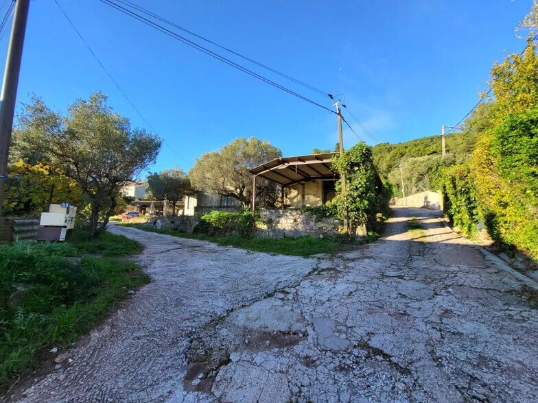 Local d'activités dans Solliès-Ville à vendre - Photo de l’immeuble – Image 1 sur 5