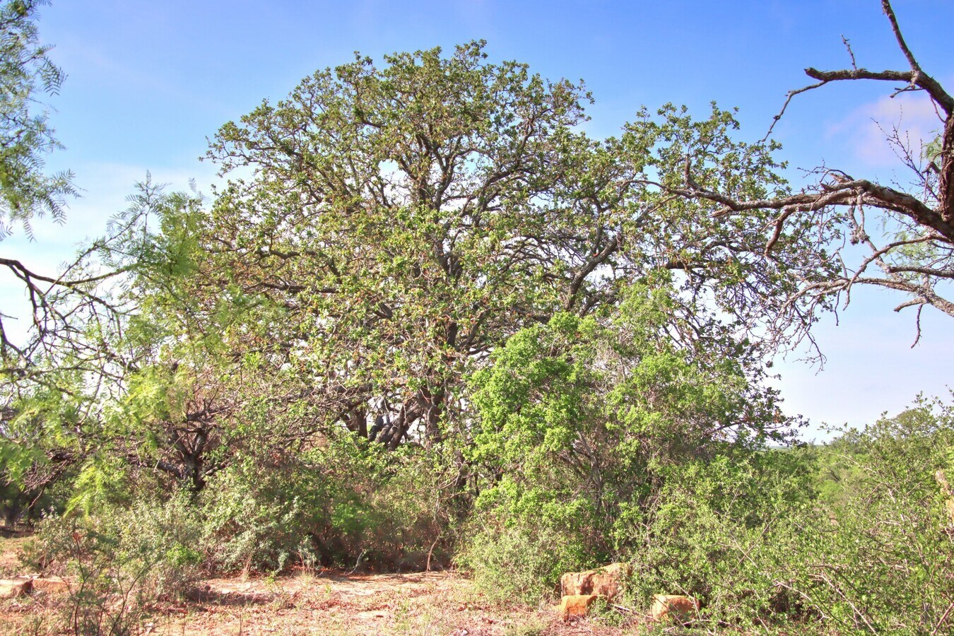 View Photo