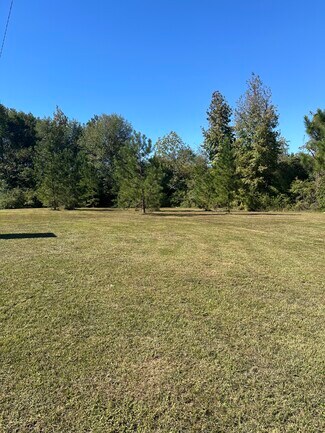 Plus de détails pour 29 Conecuh County Road 29 Rd, Evergreen, AL - Terrain à vendre