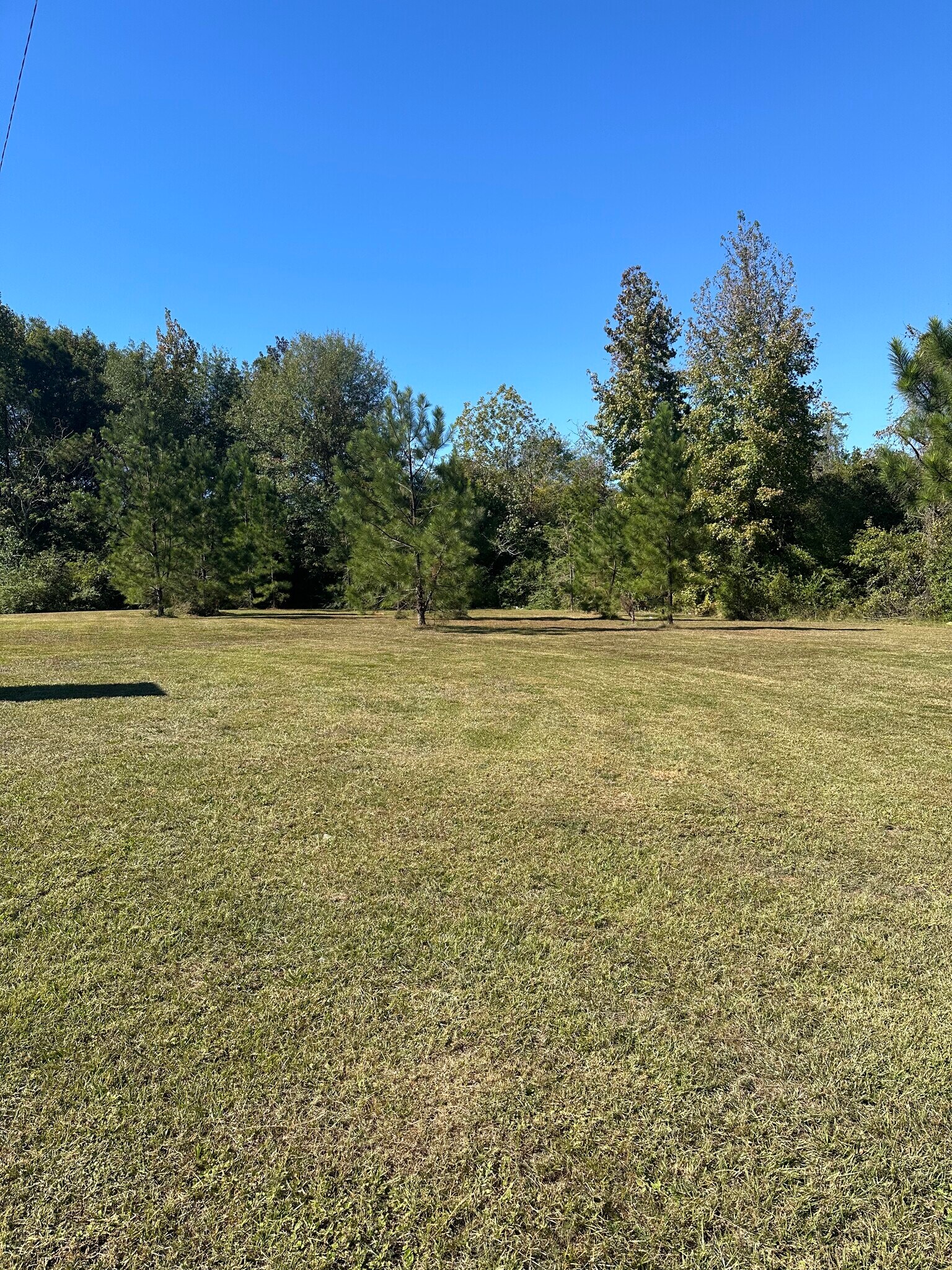 29 Conecuh County Road 29 Rd, Evergreen, AL à vendre Autre– Image 1 sur 3