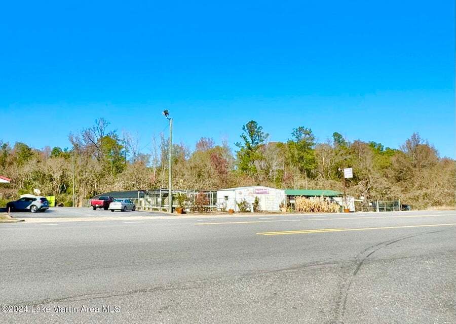 1217 Tallapoosa St, Alexander City, AL à vendre Photo principale– Image 1 sur 29