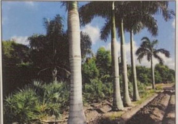 View Photo