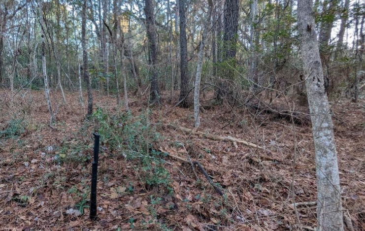 1981 Liberia Rd, Wadmalaw Island, SC à vendre - Autre – Image 2 sur 4