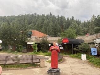 Plus de détails pour 28186 Highway 74, Evergreen, CO - Local commercial à louer