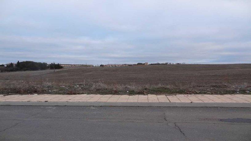 Terrain dans Doñinos de Salamanca, Salamanca à vendre - Plan de site – Image 1 sur 3