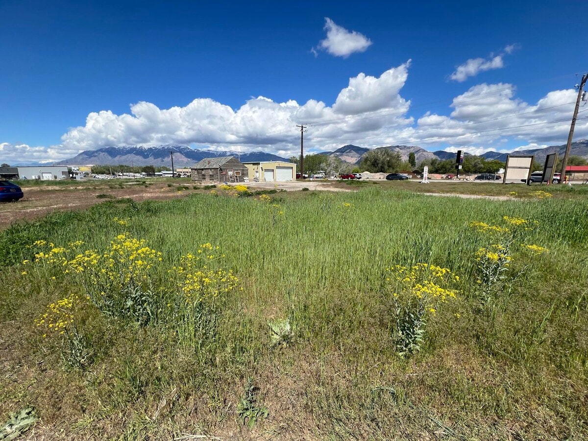 View Photo