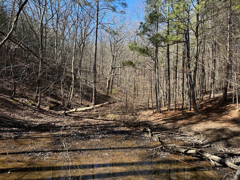 3472 Prior Station Rd, Cedartown, GA à vendre - Photo de l’immeuble – Image 2 sur 73