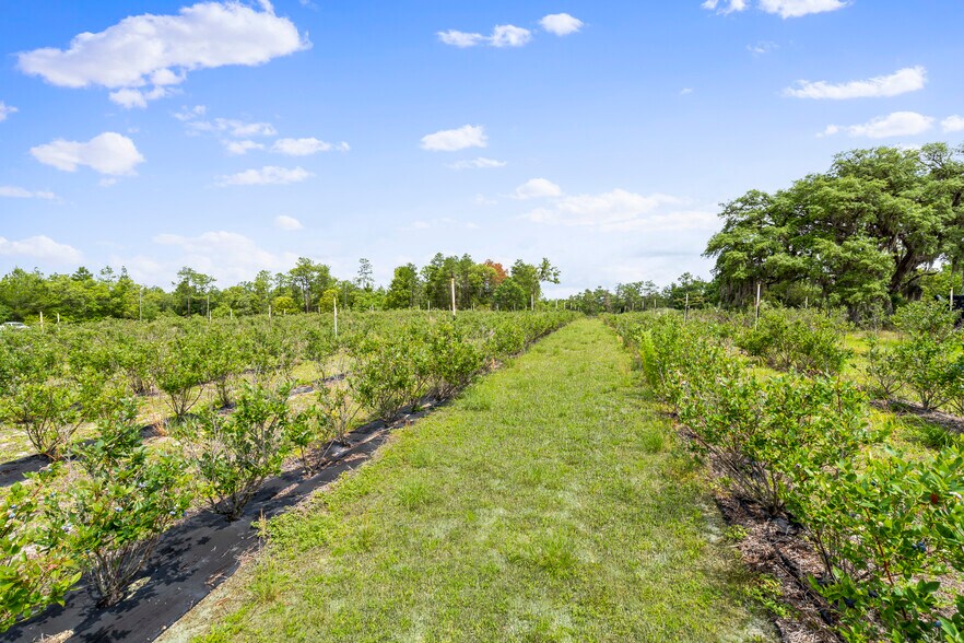 130 Strawberry ln, Pomona Park, FL à vendre - Photo de l’immeuble – Image 3 sur 27