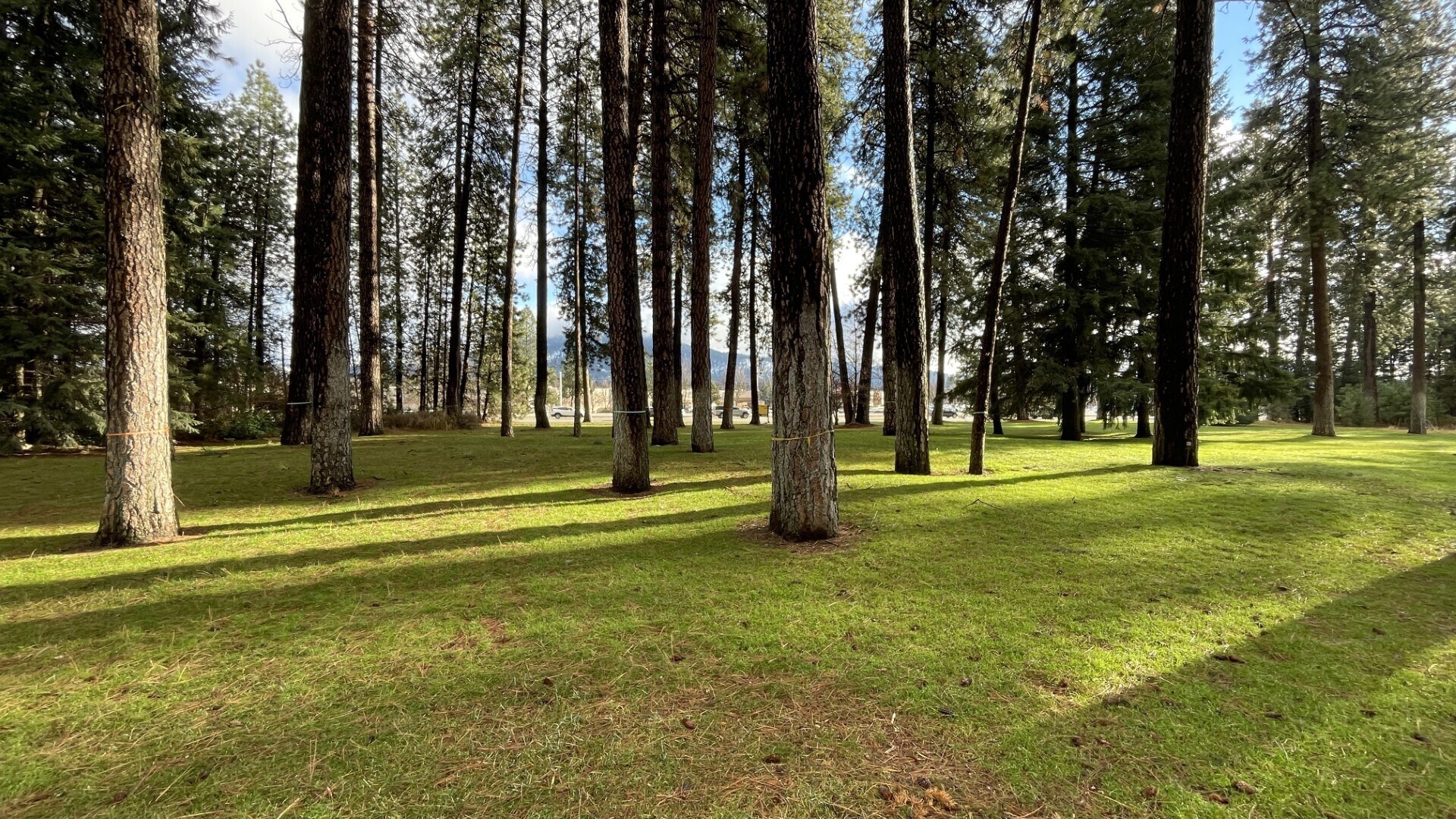 NNA Mineral Dr, Coeur d'Alene, ID à vendre Photo de l’immeuble– Image 1 sur 9