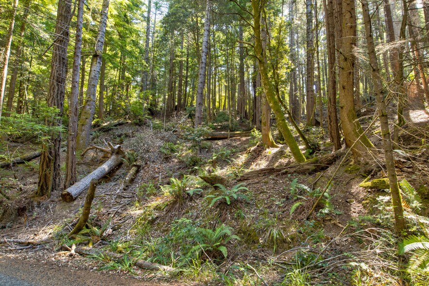 33170 Frog Pond rd, Little River, CA à vendre - Photo de l’immeuble – Image 3 sur 28