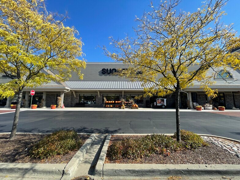 SEC Rte 83 & Aptakisic Rd, Long Grove, IL à louer - Photo de l’immeuble – Image 3 sur 17