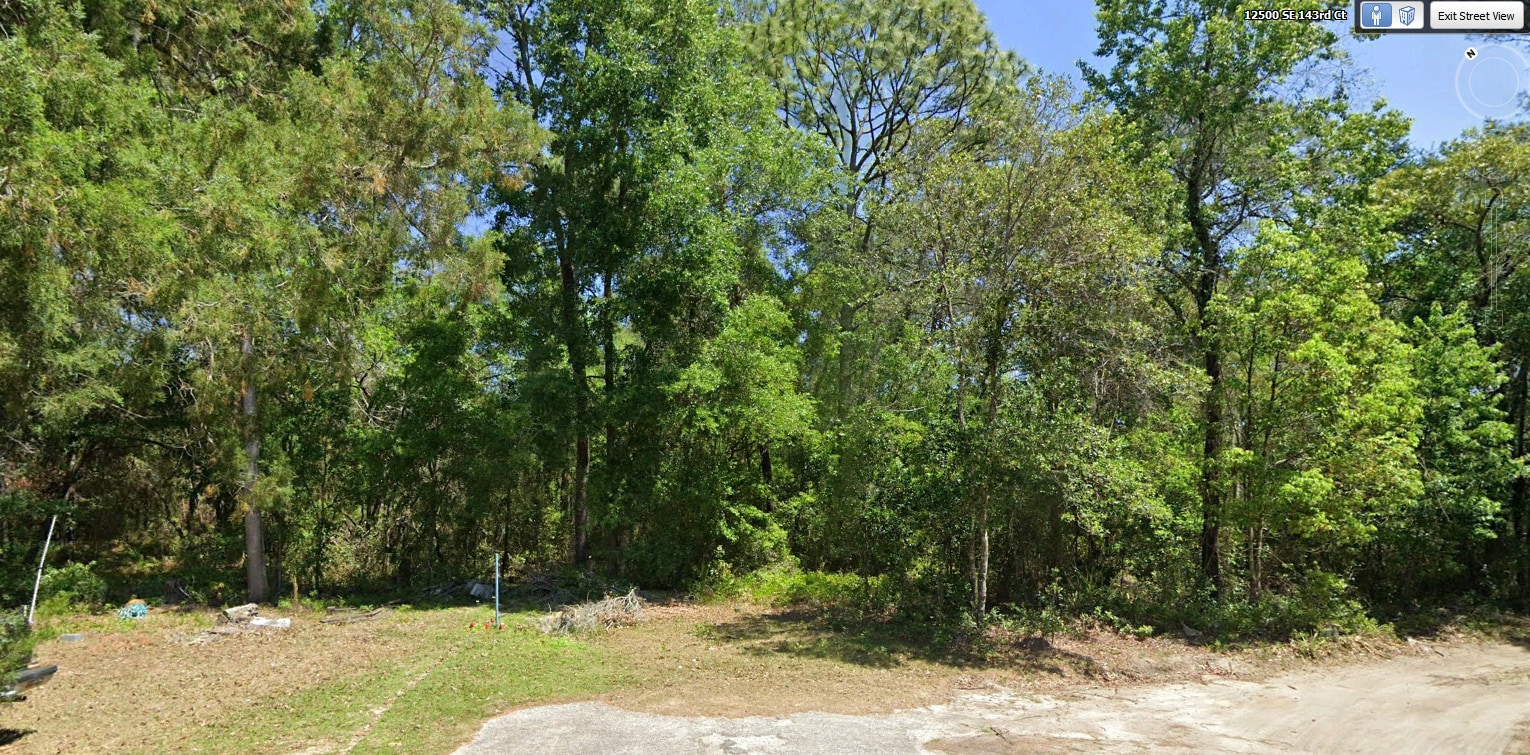SE 122nd Rd Lane Rd, Ocklawaha, FL à vendre Autre– Image 1 sur 4