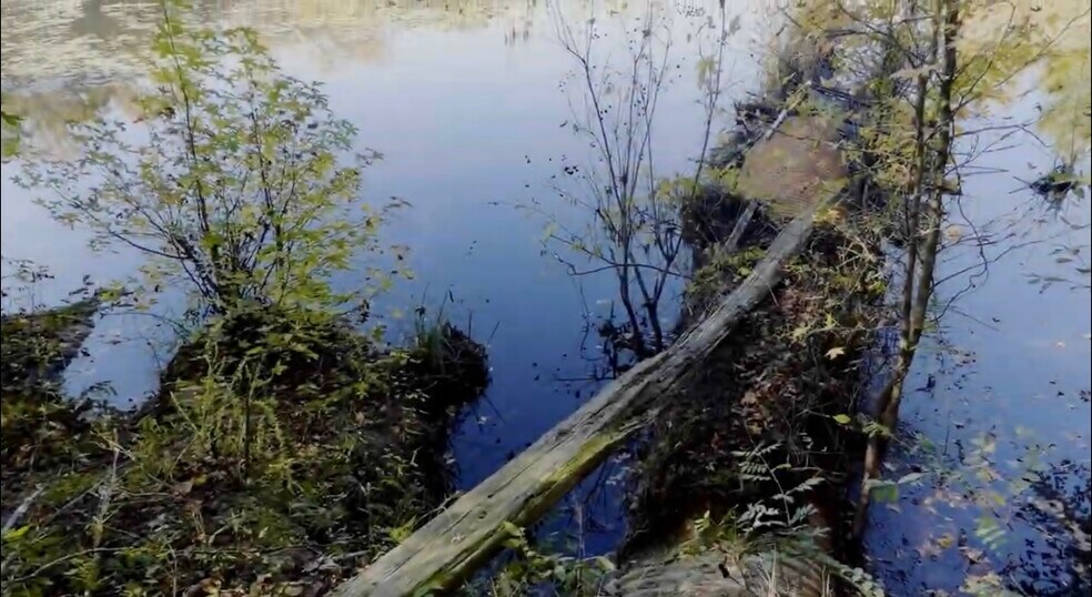 3382 Silver Bluff Rd, Aiken, SC à vendre - Photo de l’immeuble – Image 2 sur 7