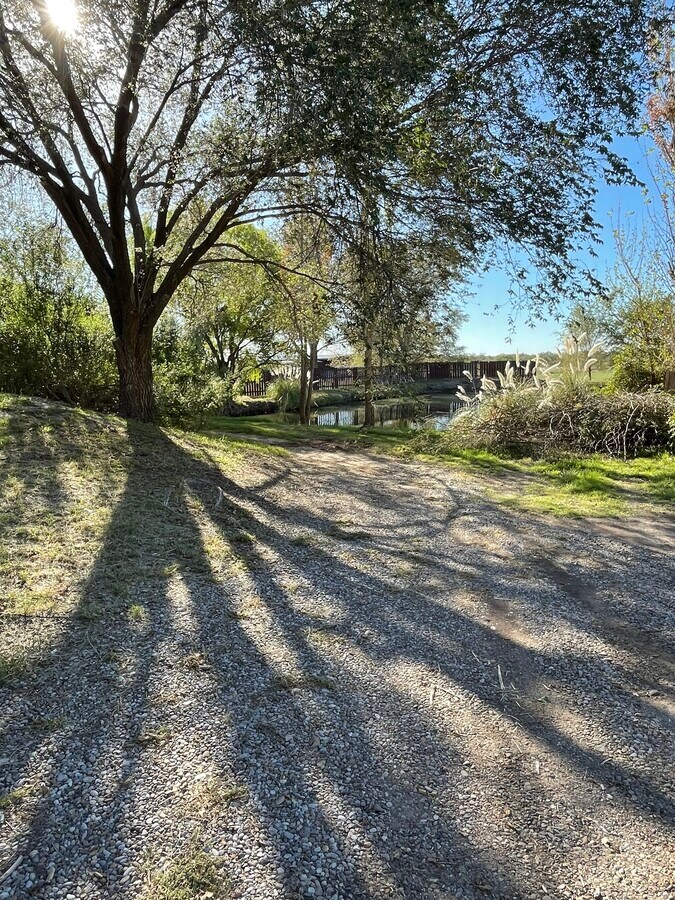 View Photo