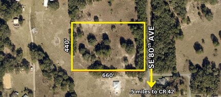 TBD Southeast 80th Avenue, Summerfield, FL - Vue aérienne vue de carte - Image1