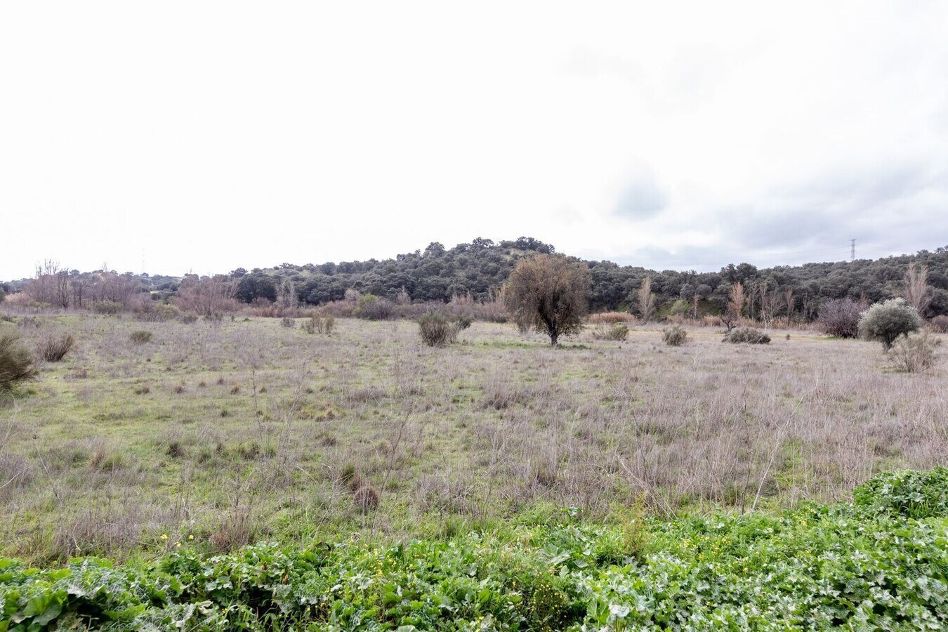 View Photo