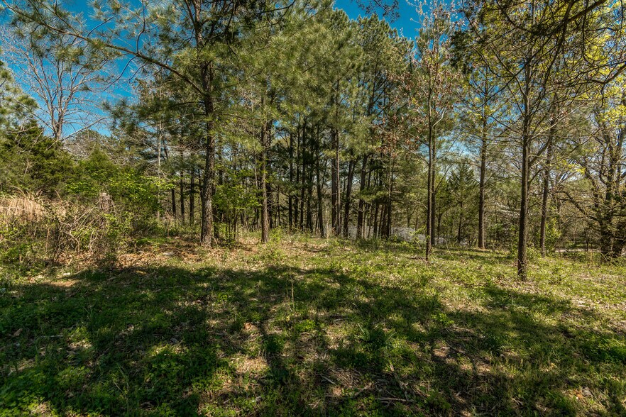 2590 Couchville Pike, Nashville, TN à vendre - Photo de l’immeuble – Image 2 sur 15