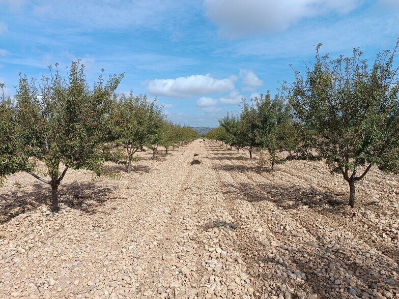 Terrain dans MURCIA à vendre - Photo principale – Image 3 sur 5