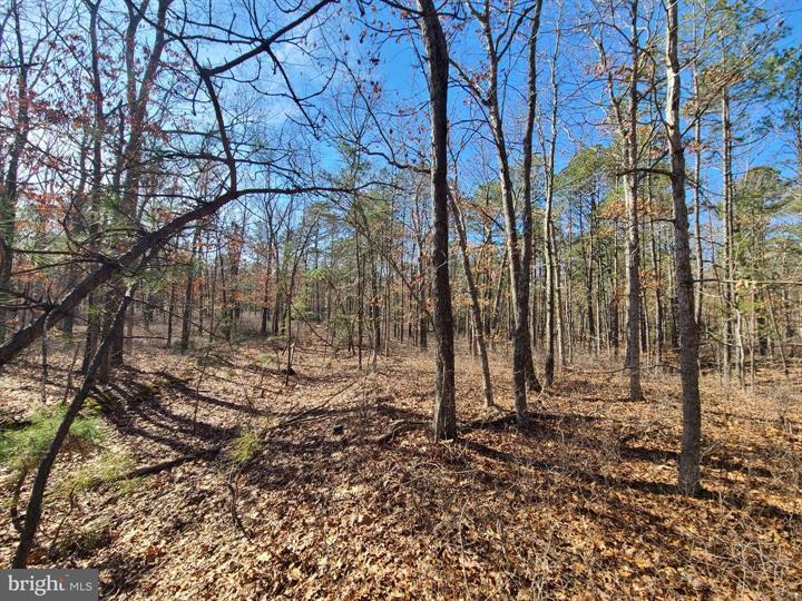 Zion Rd, Egg Harbor Township, NJ à vendre - Photo de l’immeuble – Image 2 sur 3