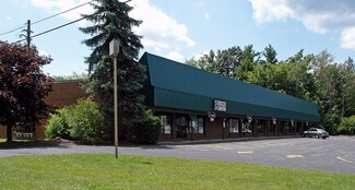 Plus de détails pour 10823 Mayfield Rd, Chesterland, OH - Local commercial à louer