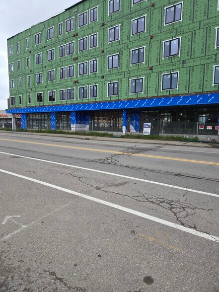 448 South Park Ave, Buffalo, NY à louer - Photo de l’immeuble – Image 1 sur 6