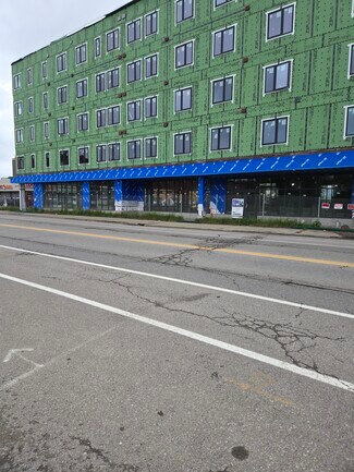 Plus de détails pour 448 South Park Ave, Buffalo, NY - Bureau/Local commercial à louer