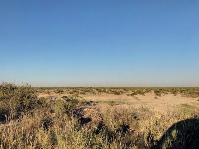 10 Acres County Road 2545, Coyanosa, TX à vendre - Photo de l’immeuble – Image 2 sur 9