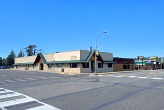 Plus de détails pour 601 Minnesota Ave, Walker, MN - Local commercial à louer