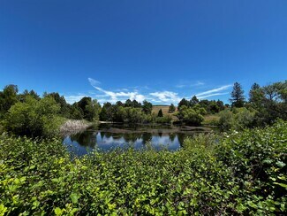 Plus de détails pour 7300 Fairplay Rd, Somerset, CA - Terrain à vendre