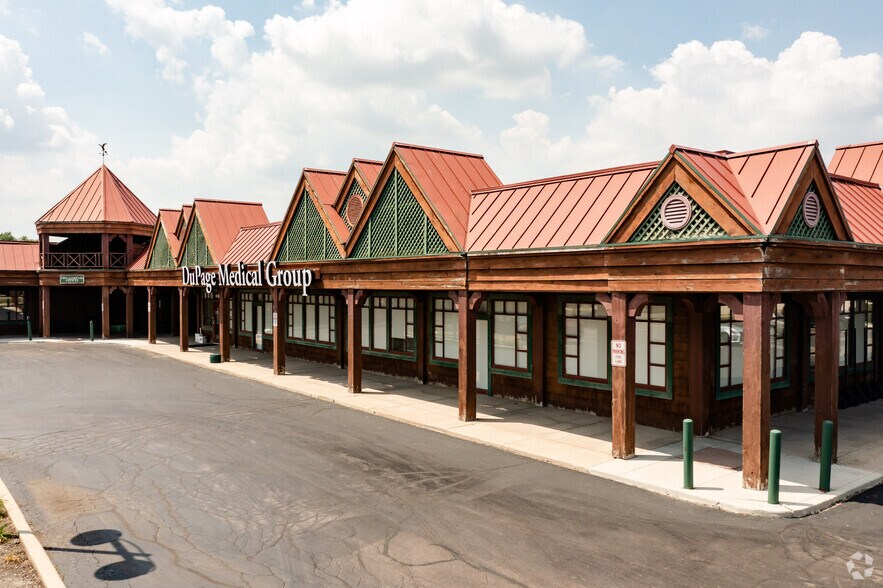 10334 S Route 59, Naperville, IL à louer - Photo principale – Image 1 sur 17