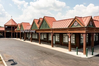 Plus de détails pour 10334 S Route 59, Naperville, IL - Local commercial à louer