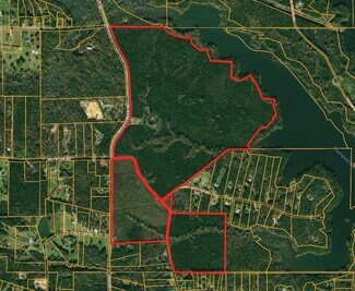 Plus de détails pour Rocky Creek Rd, Hampton, GA - Terrain à vendre