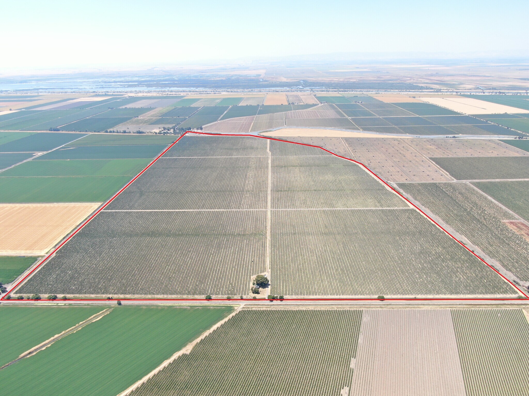 48450 W Sutter Rd, Clarksburg, CA à vendre Photo principale– Image 1 sur 13