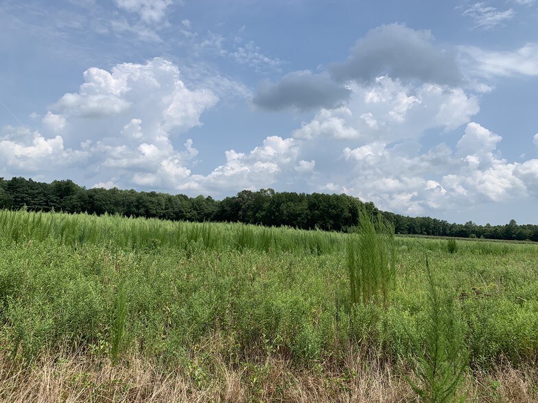11529 Longridge Ln, Whaleyville, MD à vendre - Photo de l’immeuble – Image 2 sur 10