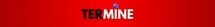 Termine Real Estate, Inc.