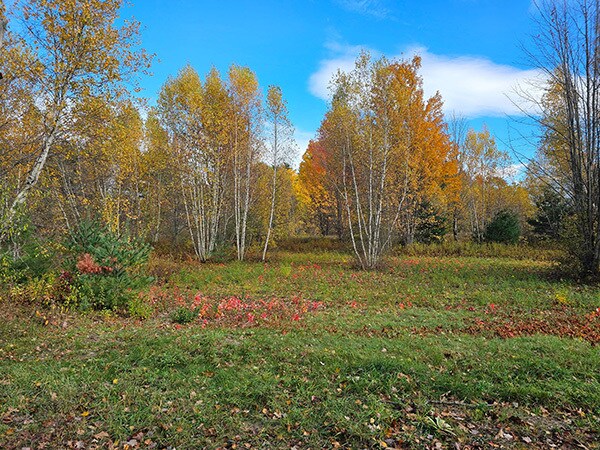 0 Racine Rd, Milton, VT à vendre - Photo principale – Image 1 sur 5
