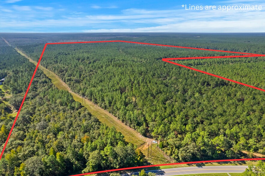 0 Nokomis Road, Walnut Hill, FL à vendre - Photo de l’immeuble – Image 2 sur 51