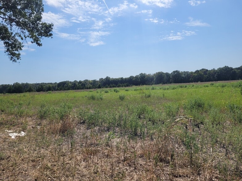 952 County Road 4135, Clarksville, TX à vendre - Photo principale – Image 1 sur 12
