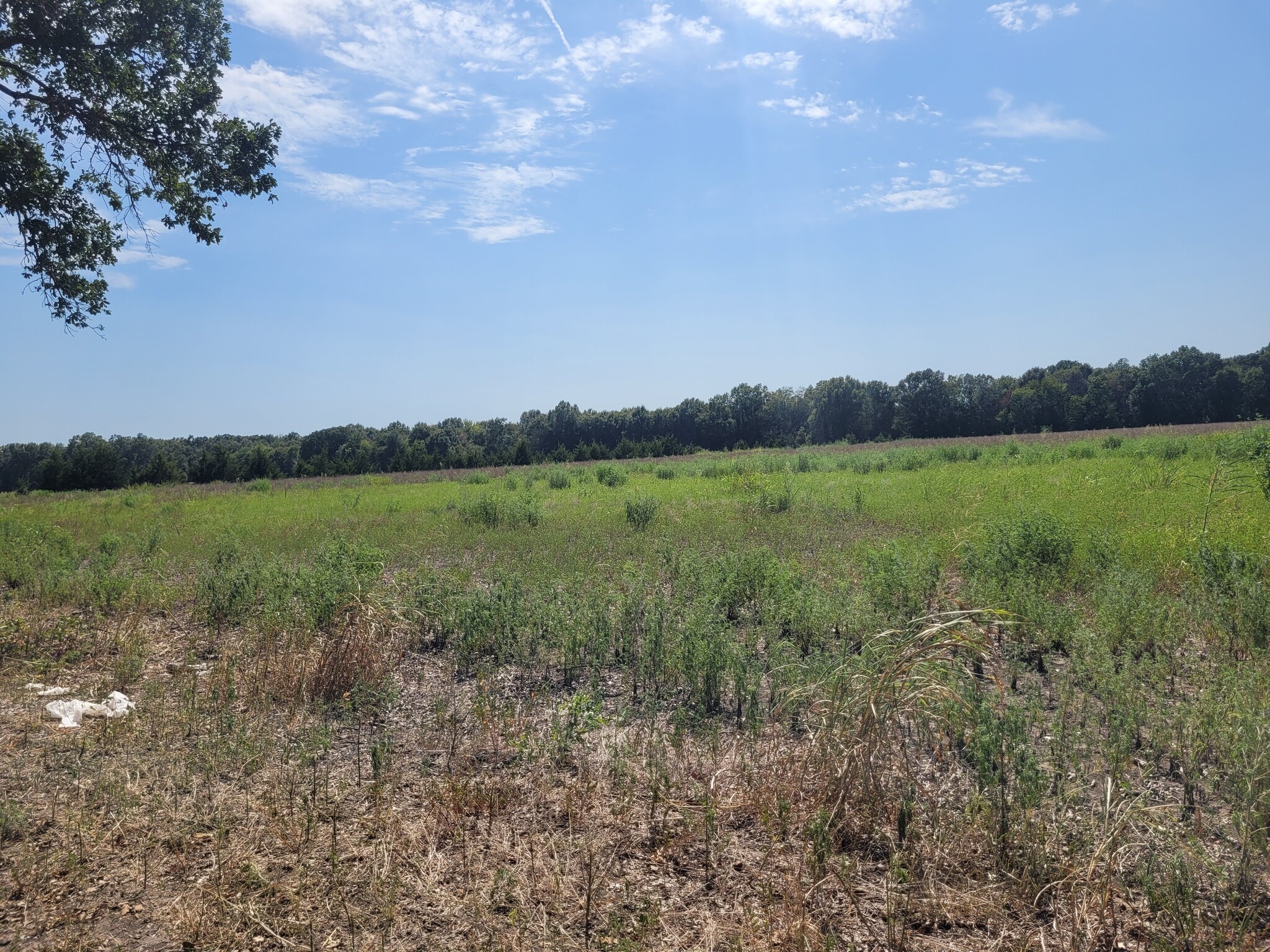 952 County Road 4135, Clarksville, TX à vendre Photo principale– Image 1 sur 13