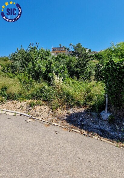 Terrain dans Turís, Valencia à vendre - Photo principale – Image 3 sur 24