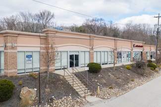 Plus de détails pour 4850 McKnight Rd, Pittsburgh, PA - Local commercial à vendre