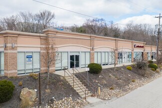 Plus de détails pour 4850 McKnight Rd, Pittsburgh, PA - Local commercial à louer