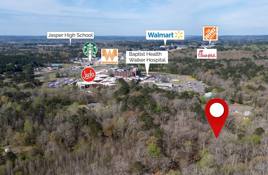 358 Blackwell Dairy Rd, Jasper, AL à vendre - Photo de l’immeuble – Image 3 sur 5