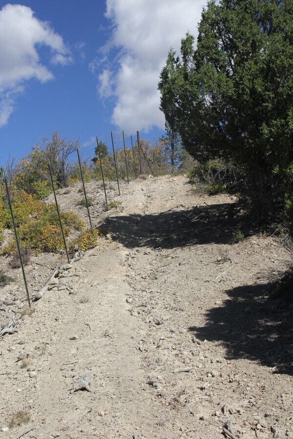 View Photo