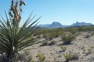 Plus de détails pour 20 Acres In Brewster County Tx, Terlingua, TX - Terrain à vendre