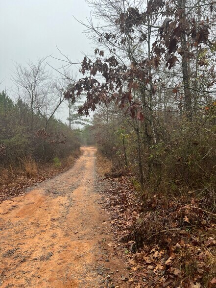 0 aurora road, Milledgeville, GA à vendre - Photo de l’immeuble – Image 3 sur 4