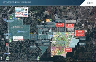 Plus de détails pour 15810 Morris Bridge Rd, Thonotosassa, FL - Terrain à louer