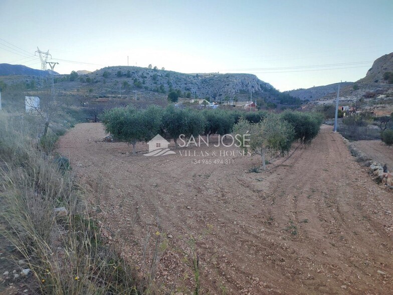 Terrain dans La Romana, Alicante à vendre - Photo principale – Image 2 sur 7