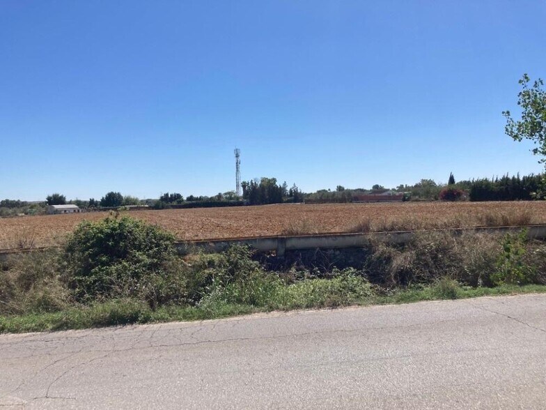 Terrain dans Jerez de la Frontera, Cádiz à louer - Aérien – Image 3 sur 8